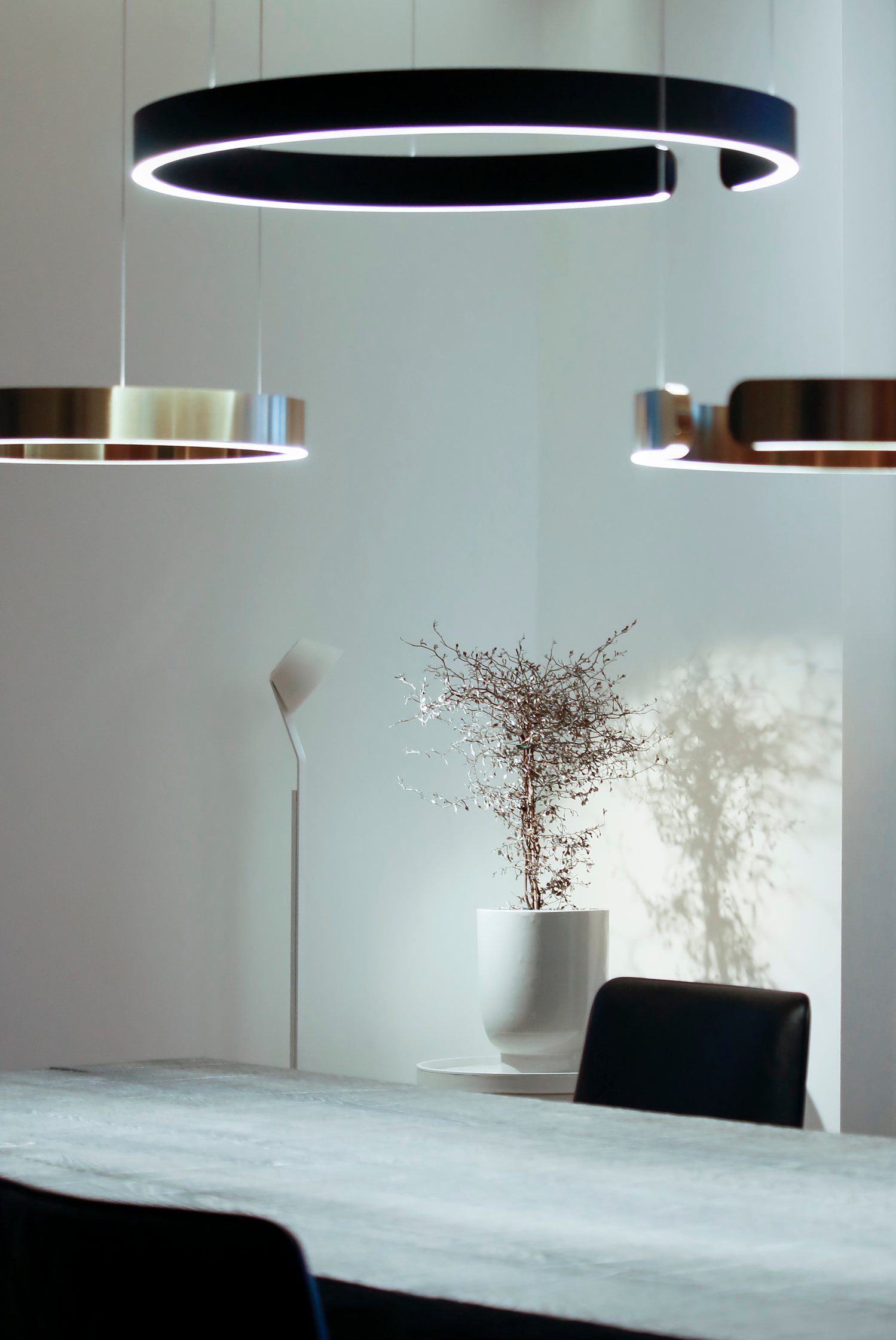 Showroom Bäckergasse