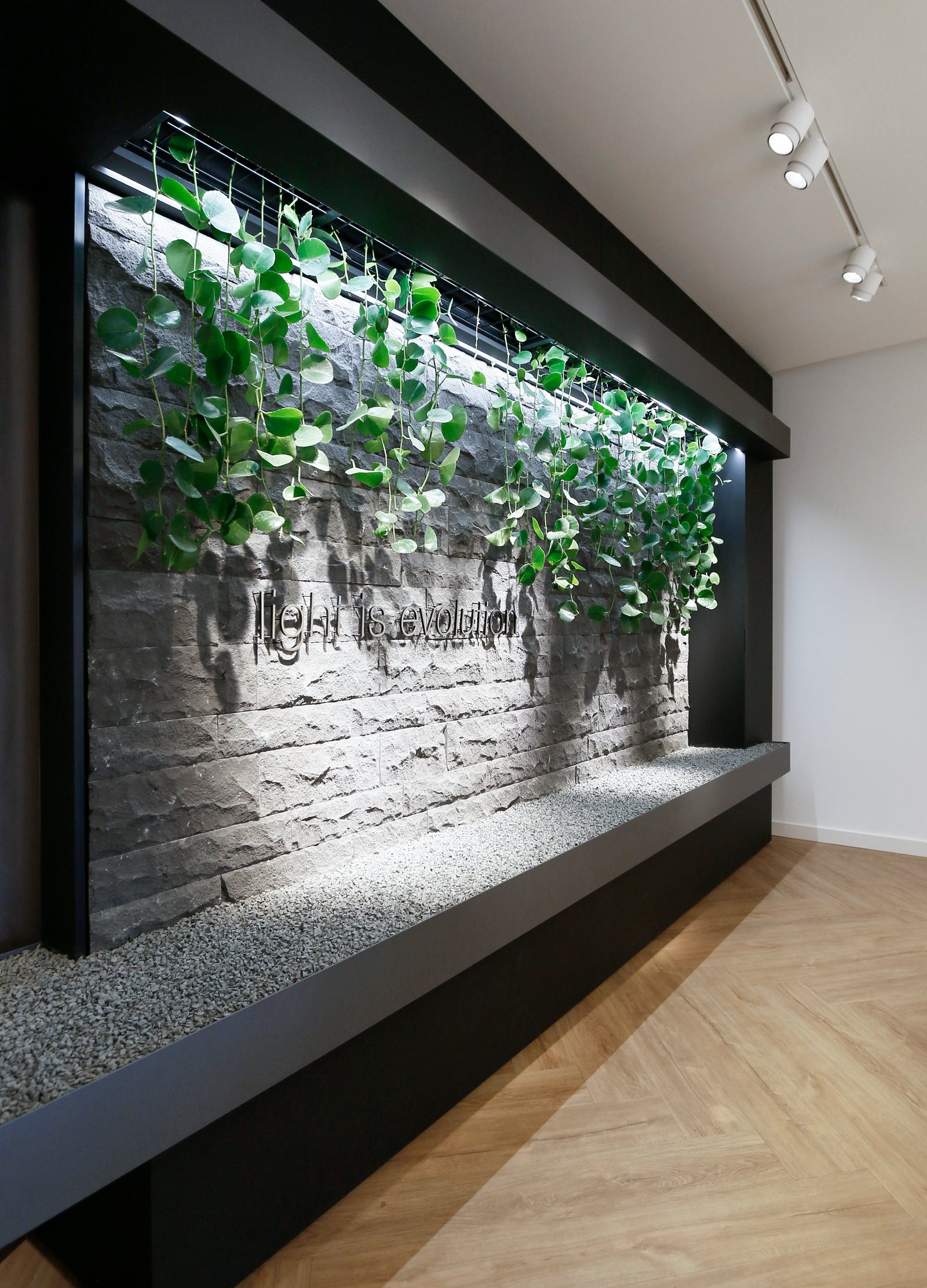 Showroom Bäckergasse